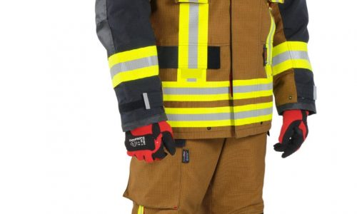 fire-rex-2